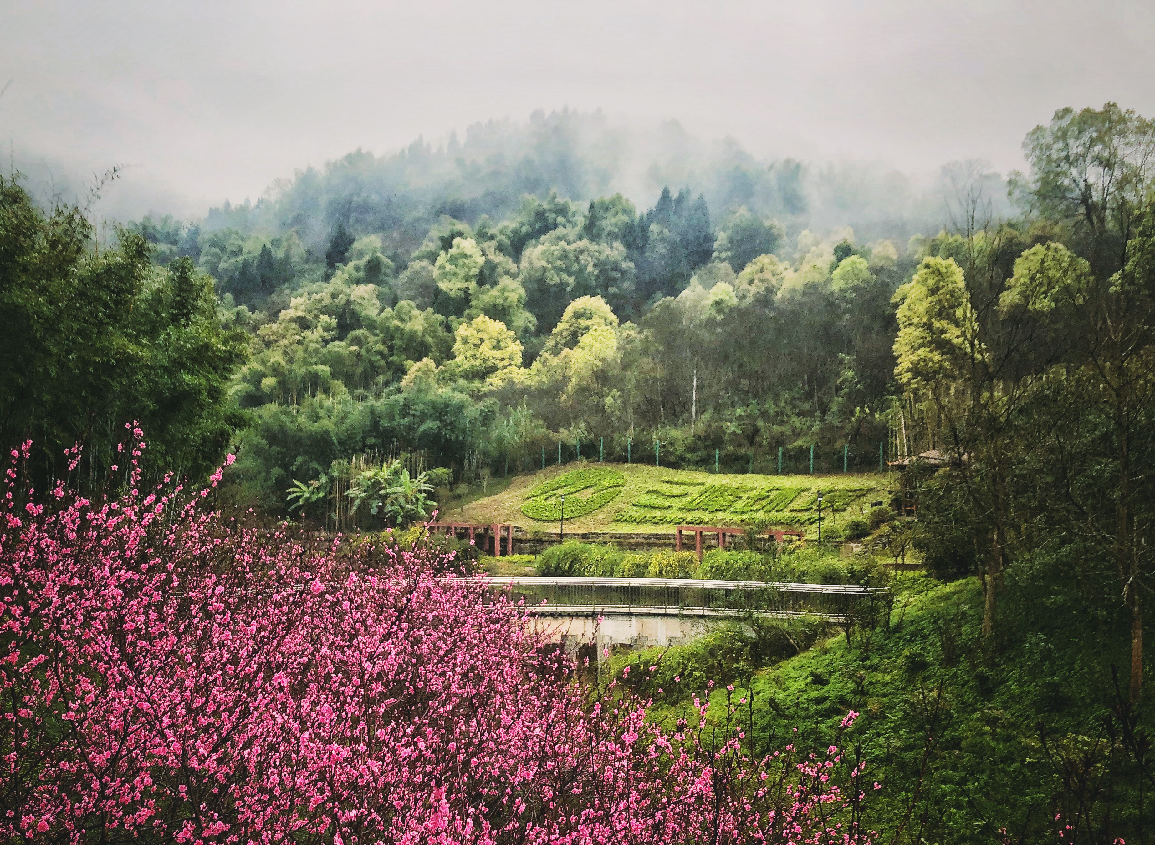 5-煙雨朦朧中的三峰環(huán)境-蔡琴-豐盛.jpg